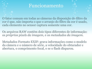 Funcionamento O fator comum em todas as câmeras da disposição do filtro da cor é que, não importa o que o arranjo do filtro da cor é usado, cada elemento no sensor captura somente uma cor. Os arquivos RAW contêm dois tipos diferentes de informação: os  próprios pixels da imagem , e os  metadados da imagem. Metadados Formato EXIF: grava informações como o modelo da câmera e o número de série, a velocidade do obturador e abertura, o comprimento focal, e se o flash disparou. 