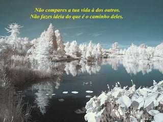 Não compares a tua vida à dos outros.
Não fazes ideia do que é o caminho deles.
 
