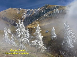 Respira fundo.
Isso acalma o espírito.
 