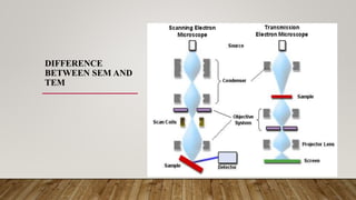 DIFFERENCE
BETWEEN SEM AND
TEM
 