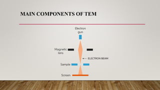 MAIN COMPONENTS OF TEM
 