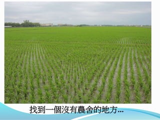 找到一個沒有農舍的地方…
 
