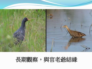 長期觀察，與官老爺結緣
 