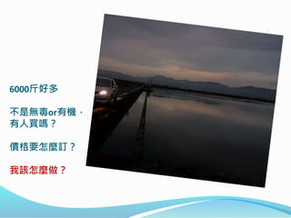 6000斤好多
不是無毒or有機，
有人買嗎？
價格要怎麼訂？
我該怎麼做？
 