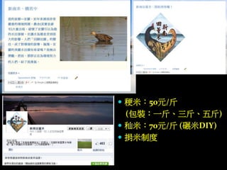  稉米：50元/斤
(包裝：一斤、三斤、五斤)
 秈米：70元/斤 (碾米DIY)
 捐米制度
 