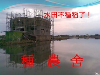 水田不種稻了！
種 農 舍
 