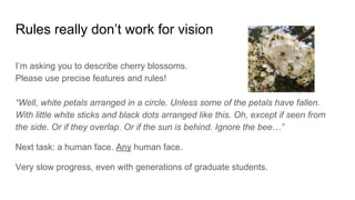Rules really don’t work for vision
I’m asking you to describe cherry blossoms.
Please use precise features and rules!
“Well, white petals arranged in a circle. Unless some of the petals have fallen.
With little white sticks and black dots arranged like this. Oh, except if seen from
the side. Or if they overlap. Or if the sun is behind. Ignore the bee…”
Next task: a human face. Any human face.
Very slow progress, even with generations of graduate students.
 