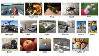 boat snail
helicopter
mushroom frog
chairbed
bison
insect
legos
apple
churchfountain
apple mouse stuffed toy
 