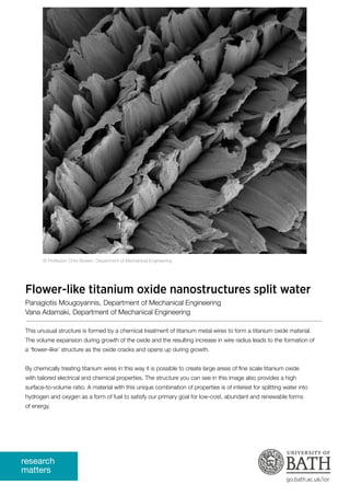 research
matters
go.bath.ac.uk/ior
Flower-like titanium oxide nanostructures split water
Panagiotis Mougoyannis, Department of Mechanical Engineering
Vana Adamaki, Department of Mechanical Engineering
This unusual structure is formed by a chemical treatment of titanium metal wires to form a titanium oxide material.
The volume expansion during growth of the oxide and the resulting increase in wire radius leads to the formation of
a ‘flower–like’ structure as the oxide cracks and opens up during growth.
By chemically treating titanium wires in this way it is possible to create large areas of fine scale titanium oxide
with tailored electrical and chemical properties. The structure you can see in this image also provides a high
surface-to-volume ratio. A material with this unique combination of properties is of interest for splitting water into
hydrogen and oxygen as a form of fuel to satisfy our primary goal for low-cost, abundant and renewable forms
of energy.
© Professor Chris Bowen, Department of Mechanical Engineering
 