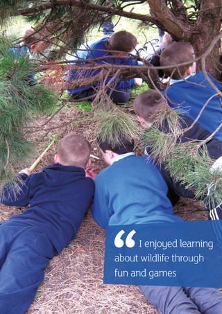 11Plantlife Practitioner Guide
I enjoyed learning
about wildlife through
fun and games
 