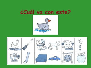 ¿Cuál va con este? 