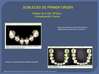 DOBLECES DE PRIMER ORDEN
Doblez de In Set, Off Set y
Compensación Canina
Ubica los dientes en el contorno del arco,
respetando prominencias y contornos.
Tomar en cuenta diámetro vestibulo linguales
Quiros J: Bases Biomecánicas y Aplicaciones Clínicas en Ortodoncia Interceptiva: Amolca, 2006. Capítulo 3
 