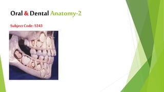 Oral & Dental Anatomy-2
Subject Code: 5243
 