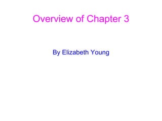 Overview of Chapter 3 By Elizabeth Young 
