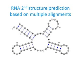 RNA 2nd structure prediction
based on multiple alignments
 