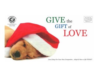 Give the Gift of Love Mailer