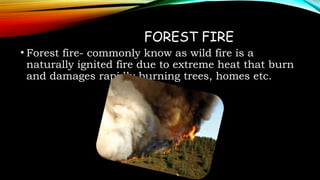 NATURAL DISASTERS and its effects on people and country | PPTX