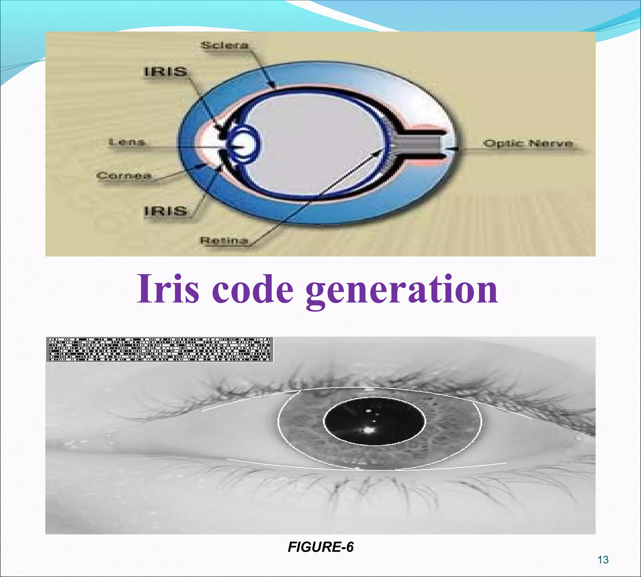 Iris code generation
FIGURE-6
13
 