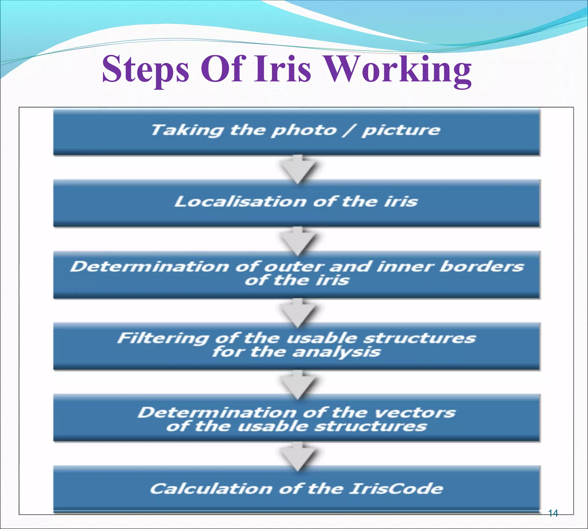 Steps Of Iris Working
14
 