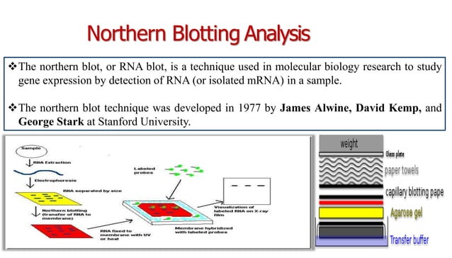 transcriptomics-approaches-ppt