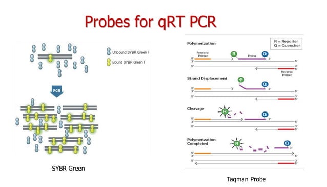 transcriptomics-approaches-ppt