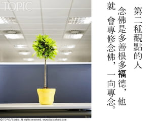 第二種觀點的人 念佛是多善根多 褔 德，他就  會專修念佛，一向專念 。 