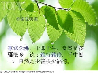 答案很明顯  專修念佛 ．十即十生．當然是多善根多褔德； 雜行雜修 ．千中無一．自然是少善根少福德。 