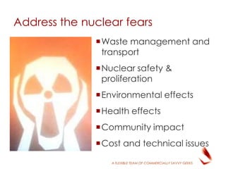 A FLEXIBLE TEAM OF COMMERCIALLY SAVVY GEEKS
Waste management and
transport
Nuclear safety &
proliferation
Environmental effects
Health effects
Community impact
Cost and technical issues
Address the nuclear fears
 