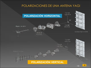 POLARIZACIÓN HORIZONTAL




    POLARIZACIÓN VERTICAL
                            •19
 