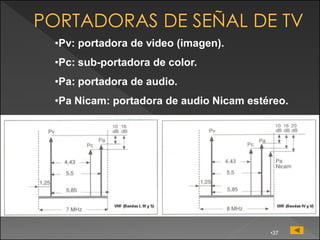 •Pv: portadora de video (imagen).
•Pc: sub-portadora de color.
•Pa: portadora de audio.
•Pa Nicam: portadora de audio Nicam estéreo.




                                        •37
 