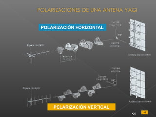 POLARIZACIÓN HORIZONTAL




    POLARIZACIÓN VERTICAL
                            •20
 