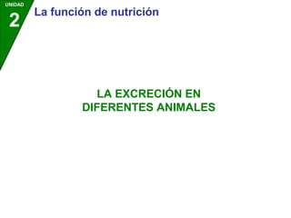 UNIDAD
2
La función de nutrición
LA EXCRECIÓN EN
DIFERENTES ANIMALES
 