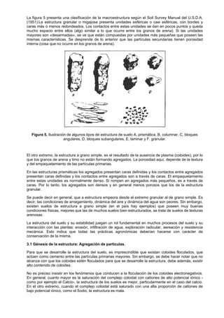 La figura 5 presenta una clasificación de la macroestructura según el Soil Survey Manual del U.S.D.A.
(1951).La estructura granular o migajosa presenta unidades esféricas o casi esféricas, con bordes y
caras más o menos redondeados. Los contactos entre estas unidades se dan en pocos puntos y queda
mucho espacio entre ellos (algo similar a lo que ocurre entre los granos de arena). Si las unidades
mayores son «desarmadas», se ve que están compuestas por unidades más pequeñas que poseen las
mismas características. Se desprende de lo anterior que las partículas secundarias tienen porosidad
interna (cosa que no ocurre en los granos de arena).




   Figura 5. Ilustración de algunos tipos de estructura de suelo A, prismática, B, columnar, C, bloques
                       angulares, D, bloques subangulares, E, laminar y F, granular.



El otro extremo, la estructura a grano simple, es el resultado de la ausencia de plasma (coloides), por lo
que los granos de arena y limo no están formando agregados. La porosidad aquí, depende de la textura
y del empaquetamiento de las partículas primarias.

En las estructuras prismáticas los agregados presentan caras definidas y los contactos entre agregados
presentan caras definidas y los contactos entre agregados son a través de caras. El empaquetamiento
entre estas unidades es normalmente denso. Si rompen en agregados más pequeños, es a través de
caras. Por lo tanto, los agregados son densos y en general menos porosos que los de la estructura
granular.

Se puede decir en general, que a estructura empeora desde el extremo granular al de grano simple. Es
decir, las condiciones de arraigamiento, dinámica del aire y dinámica del agua son peores. Sin embargo,
existen suelos de estructura a grano simple (en el país hay ejemplos) que poseen muy buenas
condiciones físicas, mejores que las de muchos suelos bien estructurados, se trata de suelos de texturas
arenosas.

La estructura del suelo y su estabilidad juegan un rol fundamental en muchos procesos del suelo y su
interacción con las plantas: erosión, infiltración de agua, exploración radicular, aereación y resistencia
mecánica. Esto indica que todas las prácticas agronómicas deberían hacerse con carácter de
conservación de la misma.

3.1 Génesis de la estructura: Agregación de partículas.

Para que se desarrolle la estructura del suelo, es imprescindible que existan coloides floculados, que
actúen como cemento entre las partículas primarias mayores. Sin embargo, se debe hacer notar que no
alcanza con que los coloides estén floculados para que se desarrolle la estructura, debe además, existir
alto contenido de coloides.

No es preciso insistir en los fenómenos que conducen a la floculación de los coloides electronegativos.
En general, cuanto mayor es la saturación del complejo coloidal con cationes de alto potencial iónico -
como por ejemplo el Calcio-, la estructura de los suelos es mejor, particularmente en el caso del calcio.
En el otro extremo, cuando el complejo coloidal está saturado con una alta proporción de cationes de
bajo potencial iónico, como el Sodio, la estructura es mala.
 