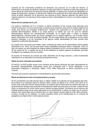causada por los incrementos periódicos de aereación que provocan en el suelo las labores, 2)
disminución en el aporte de residuos orgánicos al suelo bajo cultivo en relación al suelo bajo pasturas 3)
menor efecto de crecimiento de raíces (se discute adelante), 4) destrucción mecánica de agregados por
pasaje de maquinaria y pisoteo y 5) disminución relativa de la protección de la parte aérea de las plantas
contra el efecto destructor de la estructura que provoca la lluvia. Algunos aspectos del efecto de la
materia orgánica en la estructura de los suelos ya fueron desarrollados en el tomo «La materia orgánica
del suelo».

Efecto de los coloides de Fe y Al

Los óxidos e hidróxidos de Fe y Al tienen un efecto importante en las uniones entre partículas para
formar la estructura. Ya se ha mencionado su efecto como puente de unión entre la materia orgánica y la
arcilla para formar los complejos arcilla-humus. También son importantes en la floculación de los
coloides electronegativos, debido a su carga positiva, es sabido que una vez que los coloides
electropositivos floculan son prácticamente irreversible, ya lo hagan solos o unidos a coloides
electronegativos. Actuando solos, sin formar complejos con la materia orgánica o con la arcilla, tienen
efecto cementante muy fuerte al estado floculado. Son los responsables de la agregación en los suelos
laterítico (Oxisoles) y en los horizontes B de algunos suelos desarrollados en cima húmedo bajo
vegetación acidificante (Spodosoles).

En nuestro país, los suelos que poseen mayor contenido de óxidos de Fe, desarrollados sobre basalto
(Zamalvide et al. 1974), son los que tienen mayor estabilidad estructural (Back y Cayssials, 1974). Si
bien son suelos con alto contenido de materia orgánica (alrededor de 8%) uno de los efectos indudables
de los óxidos de Fe, y también de los de Al es estabilizar la materia orgánica humificada, formando
complejos muy estables junto con la arcilla.

El proceso de formación de uniones por estos elementos es de larga duración, y tiene fundamental
importancia en su desarrollo la ocurrencia de estaciones secas.

Efecto de otros minerales secundarios

El CaCO3 y el SiO2 pueden actuar como cemento de las demás partículas del suelo, generalmente en
horizontes subsuperficiales produciendo zonas muy compactas más o menos resistentes a ser
fracturadas (fragipanes y duripanes). (Black, 1975). Estos fenómenos no tienen importancia en el
Uruguay.

Procesos que producen separación o individualización de partículas secundarias

Efecto de alternancia entre el humedecimiento y secado

Se ha comprobado que este proceso tiene un efecto notable en la génesis de los agregados del suelo.
En la figura 8 se presentan datos de Haines (1923), citados por Baver et al. (1972) y por Hénin et al.
(1972), que sirven para discutir estos procesos. Se observa que la disminución de volumen del suelo, es
igual al volumen de agua que se pierde en la desecación hasta que entra aire en el suelo. A partir de ese
punto, la contracción es mucho menor que el volumen de agua perdido. Se observa que el volumen del
material arcilloso luego de los ciclos alternados de humedecimiento y secado es mayor que el volumen
original. Esto quiere decir que el material tiene un mayor espacio poroso luego de sufrir estos procesos,
es decir, el suelo se ha «soltado». La masa compacta inicial, se ha transformado en un conjunto de
agregados que dejan entre sí cierto espacio poroso.




Figura 8- Material arcilloso compacto de un horizonte B, sometido a secado y humedecimiento alternado.
 