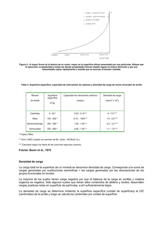 Figura 2.- A mayor finura de la textura de un suelo, mayor es la superficie eficaz presentada por sus partículas. Nótese que
      la adsorción, la plasticidad y todas las demás propiedades físicas citadas siguen la misma dirección y que sus
                       intensidades suben rápidamente a medida que se acercan al tamaño coloidal.




  Tabla 3. Superficie específica, capacidad de intercambio de cationes y densidad de carga de varios minerales de arcilla



              Mineral        Superficie      Capacidad de intercambio catiónico    Densidad de carga
                             específica
                                                                                             2        3
             de Arcilla                                    (me/gr.)                   (me/m x 10 )
                                 2
                               m /gr



            Caolinitas        5 - 20 *                  0.03 - 0.15 **                  6 - 7.5 ***

               Illitas      100 - 200 *                 0.10 - 1040 **                 1.0 - 2.0 ***

         Montmorillonitas   300 - 500 *                 1.00 - 1.50 **                 3.0 - 3.3 ***

           Vermiculitas     700 - 800 *                 0.80 - 1.50 **                 1.1 - 1.9 ***

* Fripiat (1964)

** Grim (1962) (Usado con permiso de Mc. Graw - Hill Book Co.)

*** Calculado según los datos de las columnas segunda y tercera.

Fuente: Baver et al., 1972



Densidad de carga.

La carga total en la superficie de un mineral se denomina densidad de carga. Corresponde a la suma de
cargas generadas por sustituciones isomórficas + las cargas generadas por las disociaciones de los
grupos funcionales en bordes.

La mayoría de los suelos tienen carga negativa por que el balance de la carga en arcillas y materia
orgánica es negativa. Solo algunos suelos que tienen altos contenidos de alofano y óxidos, desarrollan
cargas positivas netas en superficie de partículas, a pH suficientemente bajos.

La densidad de carga se determina midiendo la superficie específica (unidad de superficie)y la CIC
(centimoles) de la arcilla y luego se calcula los centimoles por unidad de superficie.
 