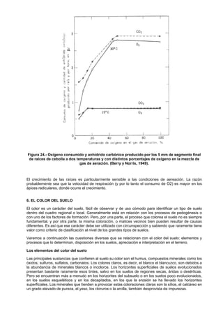 Figura 24.- Oxígeno consumido y anhídrido carbónico producido por los 5 mm de segmento final
 de raíces de cebolla a dos temperaturas y con distintos porcentajes de oxígeno en la mezcla de
                              gas de aeración. (Berry y Norris, 1949).



El crecimiento de las raíces es particularmente sensible a las condiciones de aereación. La razón
probablemente sea que la velocidad de respiración (y por lo tanto el consumo de O2) es mayor en los
ápices radiculares, donde ocurre el crecimiento.


6. EL COLOR DEL SUELO

El color es un carácter del suelo, fácil de observar y de uso cómodo para identificar un tipo de suelo
dentro del cuadro regional o local. Generalmente está en relación con los procesos de pedogénesis o
con uno de los factores de formación. Pero, por una parte, el proceso que colorea el suelo no es siempre
fundamental, y por otra parte, la misma coloración, o matices vecinos bien pueden resultar de causas
diferentes. Es así que ese carácter debe ser utilizado con circunspección y sabiendo que raramente tiene
valor como criterio de clasificación al nivel de los grandes tipos de suelos.

Veremos a continuación las cuestiones diversas que se relacionan con el color del suelo: elementos y
procesos que lo determinan, disposición en los suelos, apreciación e interpretación en el terreno.

Los elementos del color del suelo

Las principales sustancias que confieren al suelo su color son el humus, compuestos minerales como los
óxidos, sulfuros, sulfatos, carbonatos. Los colores claros, es decir, el blanco el blancuzco, son debidos a
la abundancia de minerales blancos o incoloros. Los horizontes superficiales de suelos evolucionados
presentan bastante raramente esos tintes, salvo en los suelos de regiones secas, áridas o desérticas.
Pero se encuentran más a menudo en los horizontes del subsuelo o en los suelos poco evolucionados,
en los suelos esqueléticos y en los decapitados, en los que la erosión se ha llevado los horizontes
superficiales. Los minerales que tienden a provocar estas coloraciones claras son la sílice, el calcáreo en
un grado elevado de pureza, el yeso, los cloruros o la arcilla, también desprovista de impurezas.
 