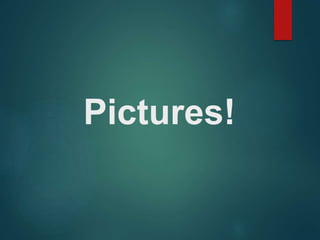 Pictures!
 