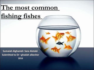 The most common
fishing fishes
Sumaiah Alghamdi- Sara Alotabi
Submitted to Dr –ghadah albesher
2016
 