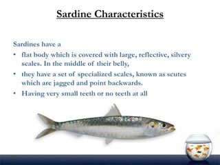 Fish Characteristics
