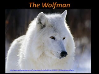 http://www.authorstream.com/Presentation/mireille30100-1684441-528-wolfman-tiffany/
 