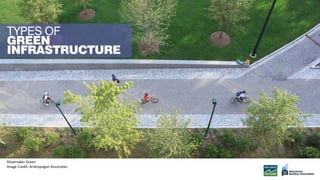 Shoemaker Green
Image Credit: Andropogon Associates
 