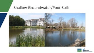 Shallow Groundwater/Poor Soils
 