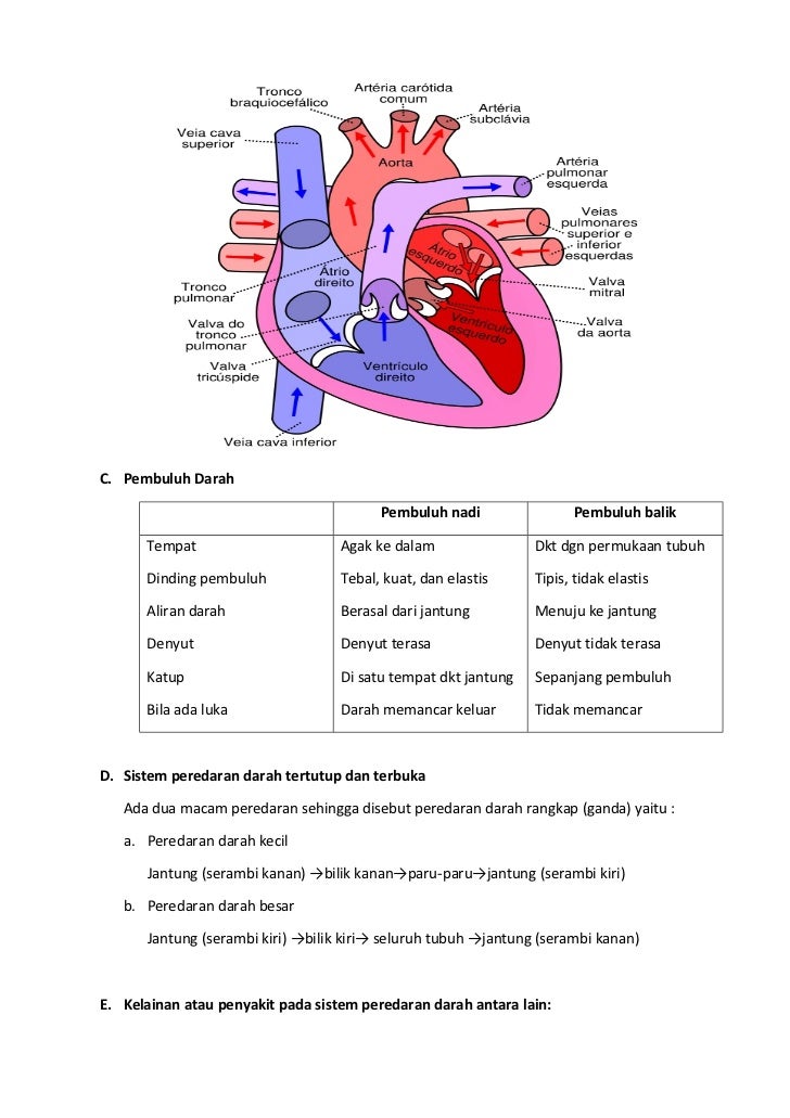 Rangkuman Materi Biologi