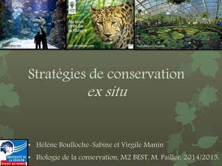 Stratégies de conservation
ex situ
• Hélène Boulloche-Sabine et Virgile Manin
• Biologie de la conservation, M2 BEST, M. Pailler, 2014/2015.
bellabritannia.comoceano.mc
 