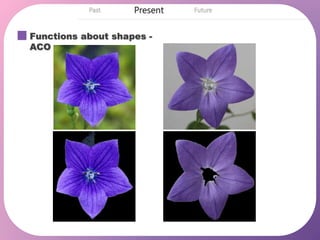 Functions about shapes -
ACO
 
