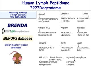 Human Lymph Peptidome
????Degradome
Processing Pathways
of lymph peptidome
THE DEGRADOME
Experimentally-based
databases
 