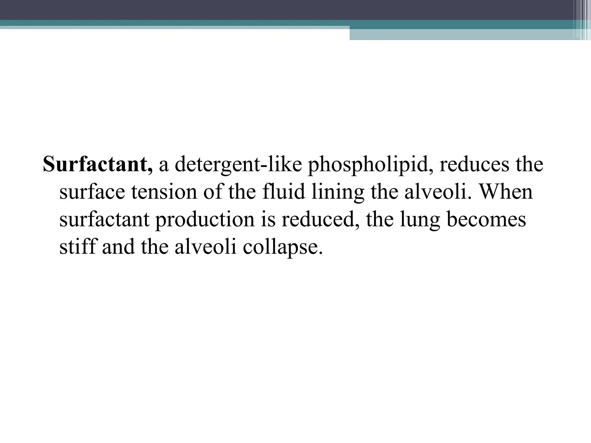 Surfactant, a detergent-like phospholipid, reduces the
surface tension of the fluid lining the alveoli. When
surfactant production is reduced, the lung becomes
stiff and the alveoli collapse.
 