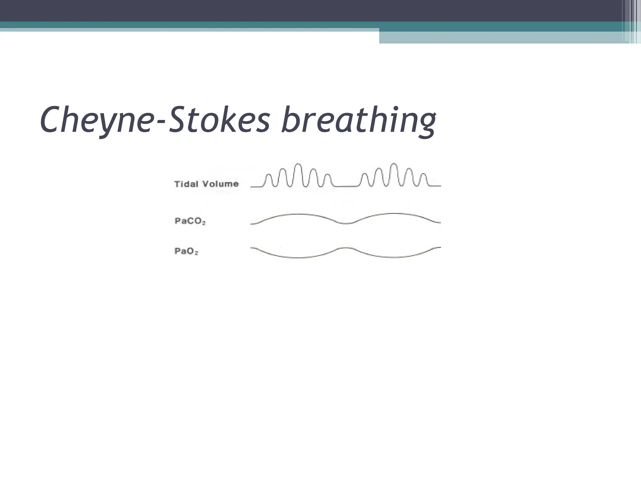 Cheyne-Stokes breathing
 