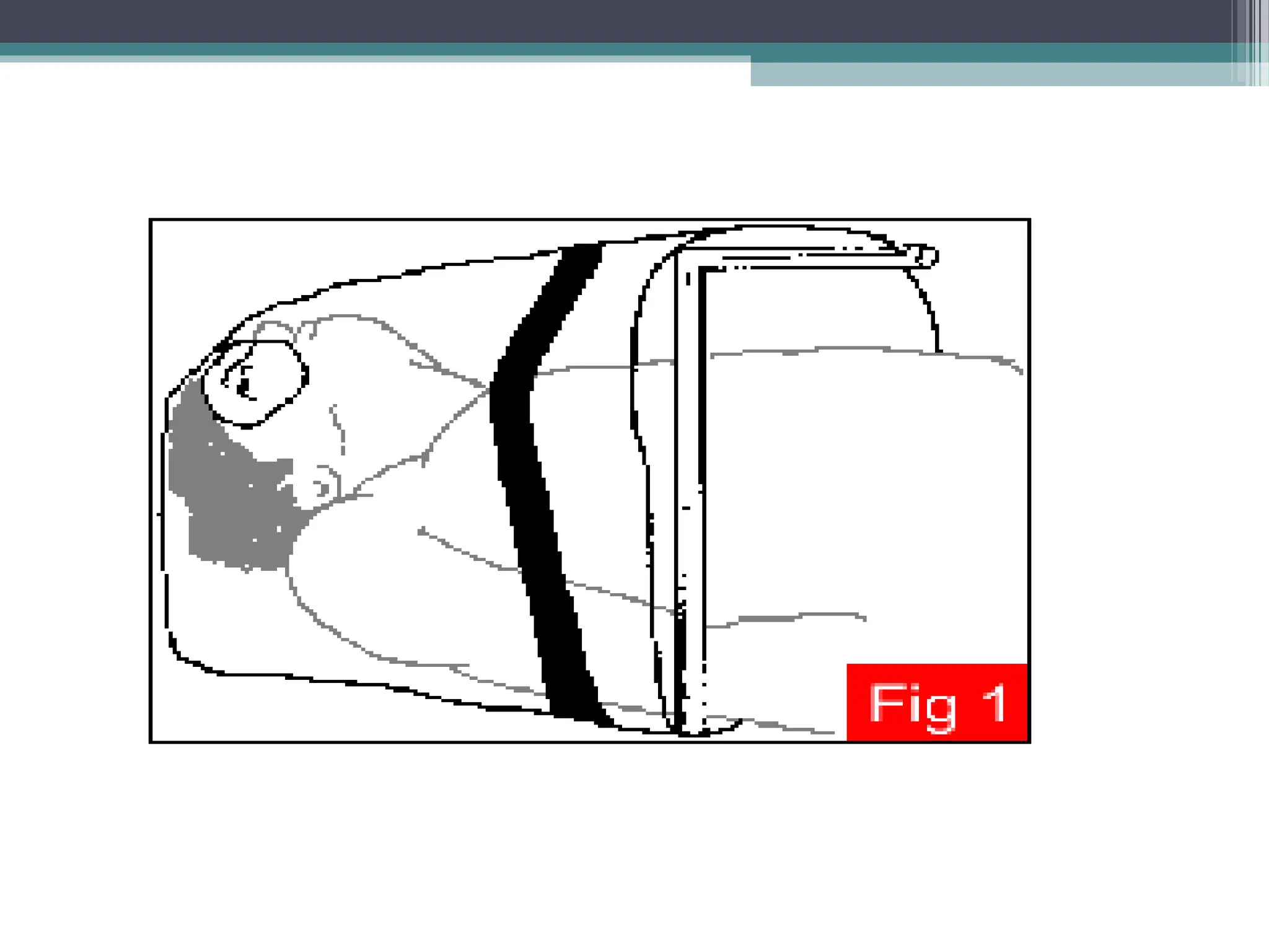 management of client with oxygenation problems