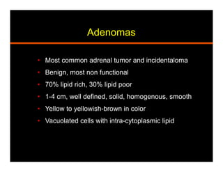 Adenomas
•  Most common adrenal tumor and incidentaloma
•  Benign, most non functional
•  70% lipid rich, 30% lipid poor
•  1-4 cm, well defined, solid, homogenous, smooth
•  Yellow to yellowish-brown in color
•  Vacuolated cells with intra-cytoplasmic lipid
 